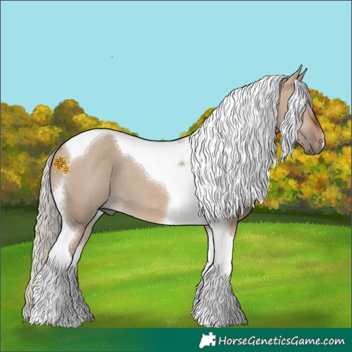 Horse Color:Silver Brown Dun Tobiano