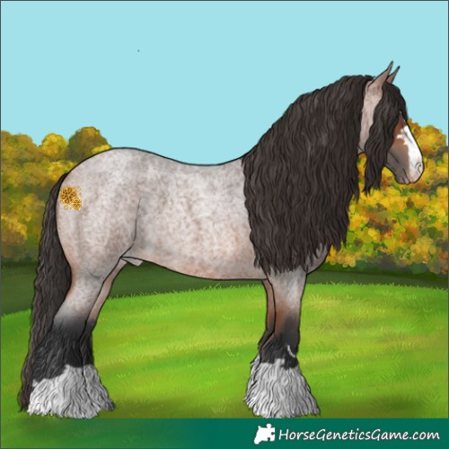 Horse Color:Bay Roan Varnish 