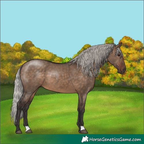 Horse Color:Silver Brown Dun 