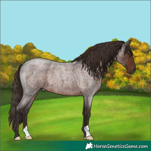 Horse Color:Liver Red Roan 