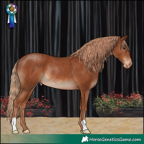 Horse Color:Chestnut Blanket Rabicano