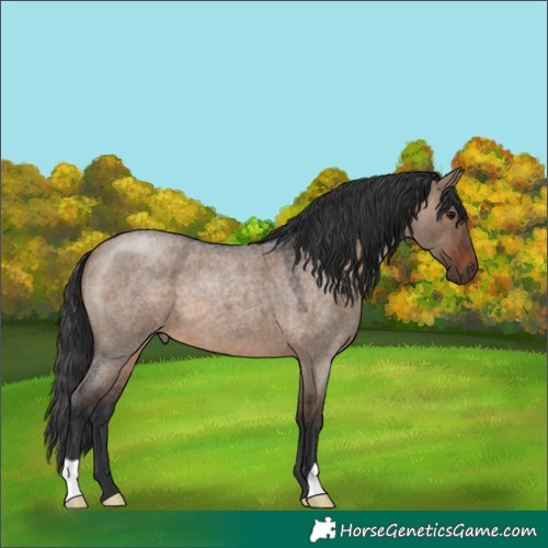 Horse Color:Brown Roan Dun 