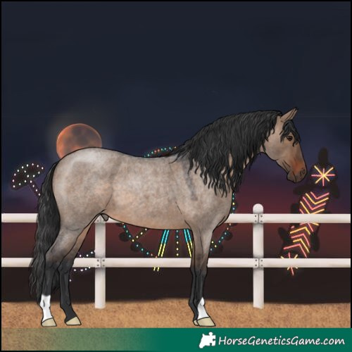 Horse Color:Brown Roan Dun