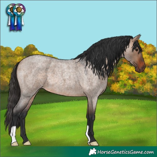 Horse Color:Bay Roan Dun