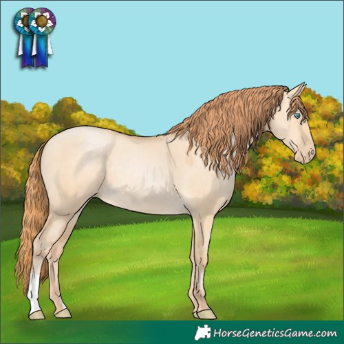 Horse Color:Buckskin Pearl Dun 