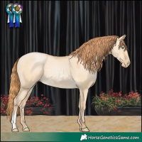 Horse Color:Buckskin Pearl Dun 