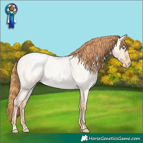Horse Color:Smoky Grullo Roan Pearl Appaloosa