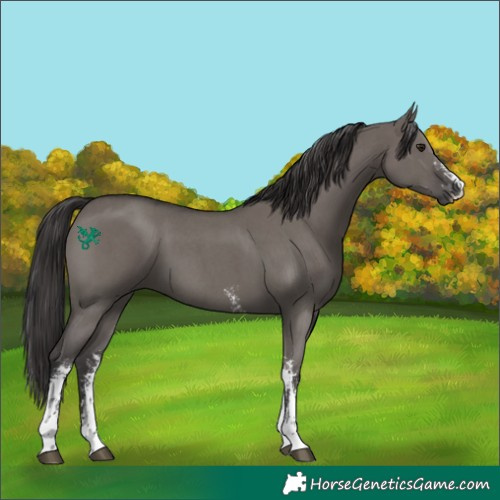 Horse Color:Smoky Grullo Sabino