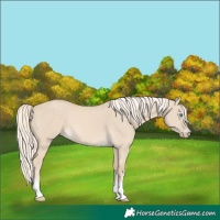 Horse Color:Cremello Dun
