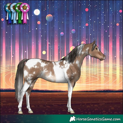 Horse Color:White Spotted Liver Red Dun Tobiano Rabicano