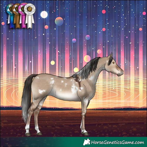 Horse Color:White Spotted Liver Red Dun Tobiano Rabicano