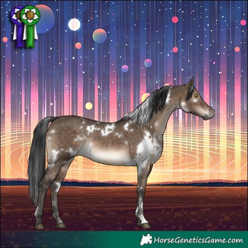 Horse Color:White Spotted Brown Dun Rabicano 