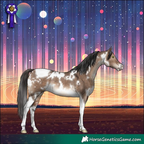 Horse Color:White Spotted Brown Dun Tobiano Rabicano 