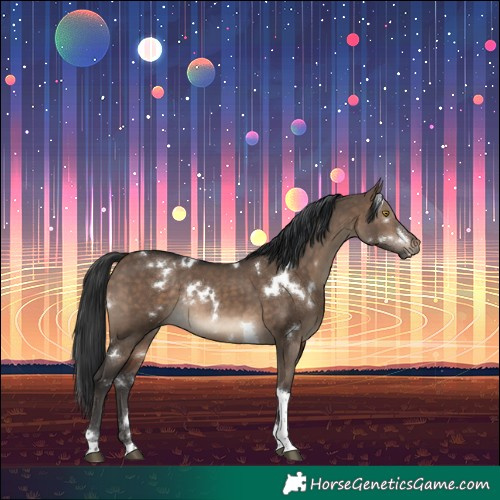 Horse Color:White Spotted Brown Dun Tobiano Rabicano