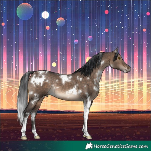 Horse Color:White Spotted Brown Dun Tobiano Rabicano 