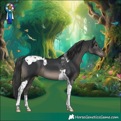 Horse Color:Black Tobiano 
