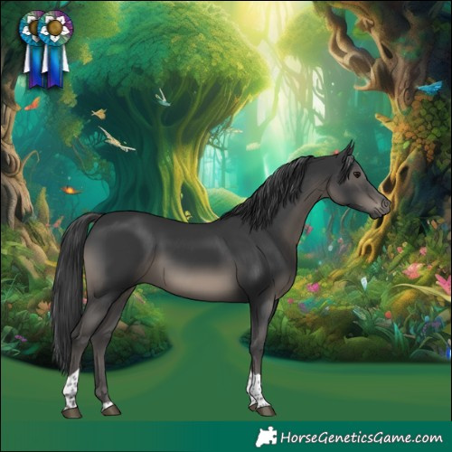 Horse Color:Black Tobiano 
