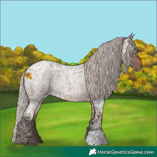 Horse Color:Silver Brown Ice Roan