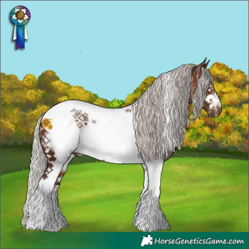 Horse Color:Silver Brown Sabino Tobiano Frame