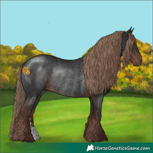 Horse Color:Liver Chestnut Rabicano