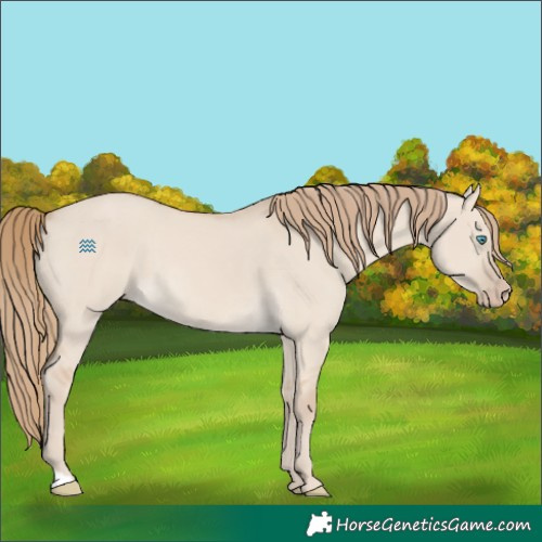 Horse Color:Smoky Creme Dun