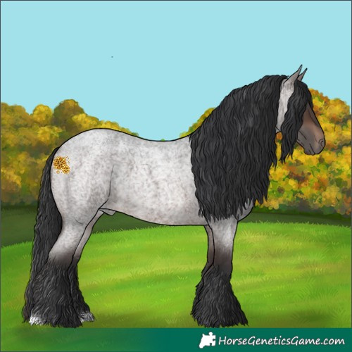 Horse Color:Brown Roan