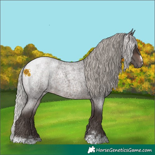 Horse Color:Silver Brown Roan