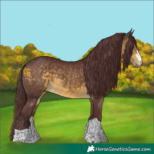 Horse Color:Chocolate Buckskin