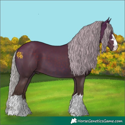 Horse Color:Chocolate Silver Brown 