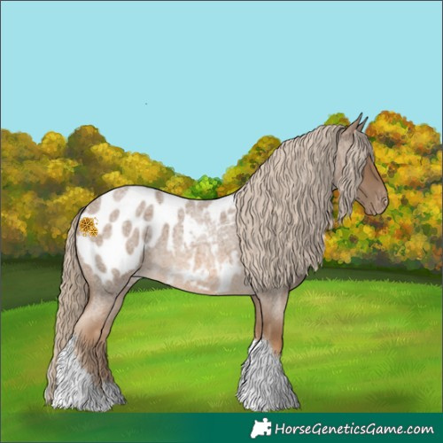 Horse Color:Chocolate Palomino Roan Tobiano Appaloosa 