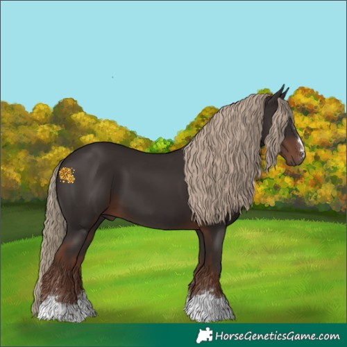 Horse Color:Liver Chestnut 