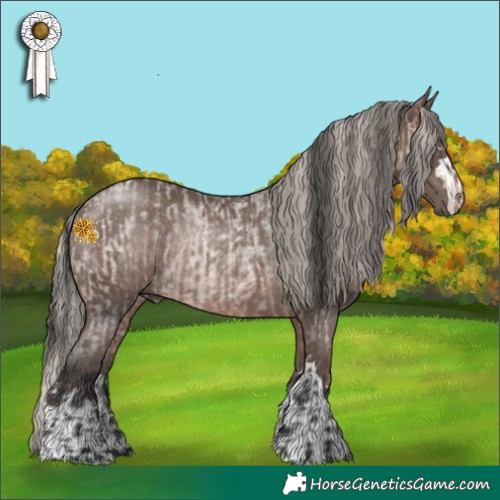 Horse Color:Bay Roan and Silver Black Rabicano