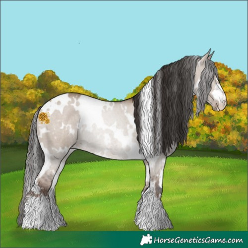Horse Color:White Spotted Liver Red Dun