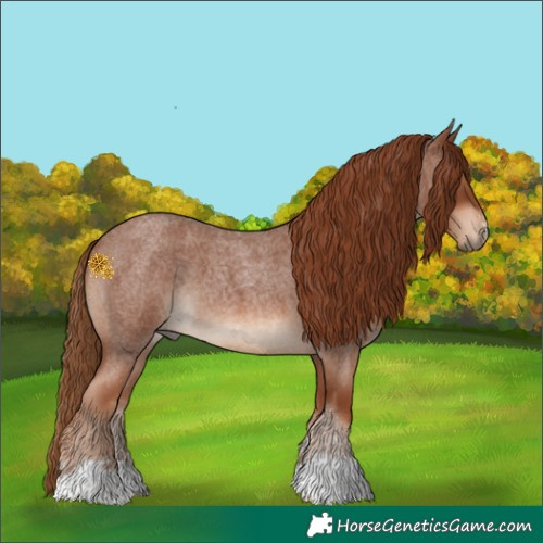 Horse Color:Red Roan