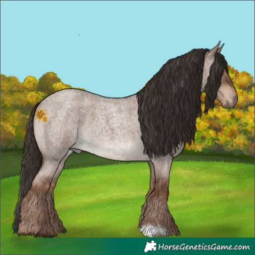 Horse Color:Liver Red Dun Roan