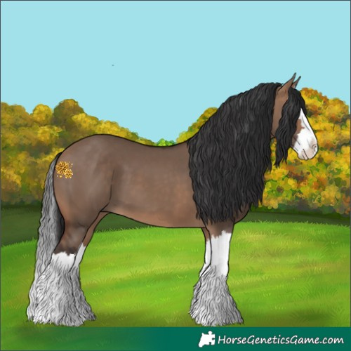 Horse Color:Bay Dun Splash