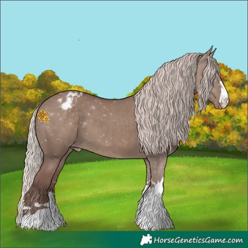 Horse Color:Chocolate Silver Grullo Varnish