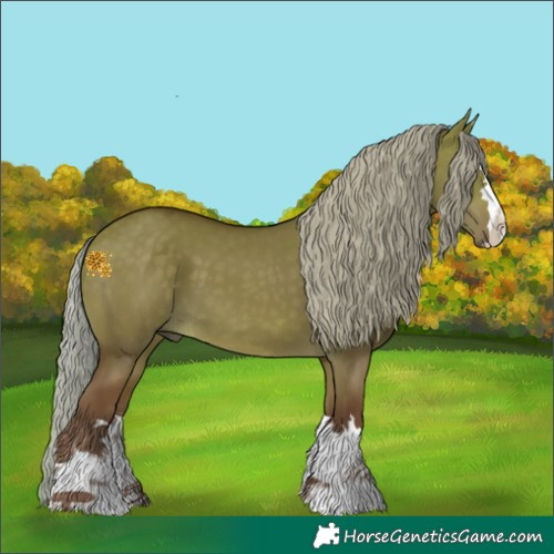 Horse Color:Chocolate Silver Brown Dun