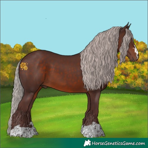 Horse Color:Chocolate Silver Brown