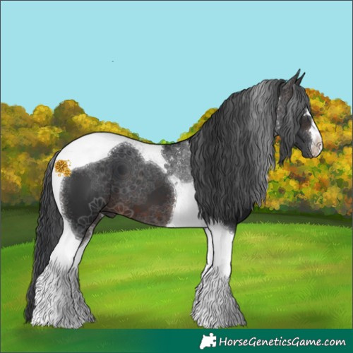 Horse Color:Brown Tobiano 