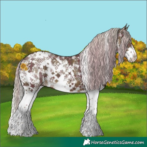 Horse Color:Plaid Chocolate Silver Smoky Black Sabino Splash