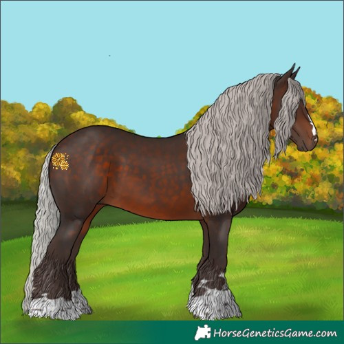Horse Color:Silver Brown