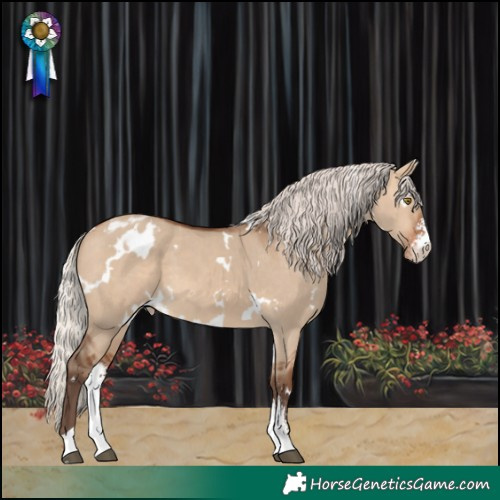 Horse Color:White Spotted Silver Brown Dun Sabino Varnish