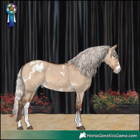 Horse Color:White Spotted Silver Brown Dun Sabino Varnish
