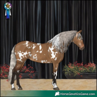 Horse Color:Gray White Spotted Silver Bay Dun Varnish Rabicano