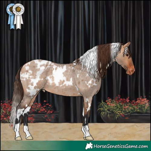 Horse Color:White Spotted Bay Roan Dun Blanket Rabicano 