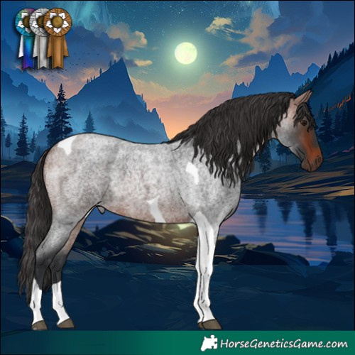 Horse Color:Bay Roan Tobiano 