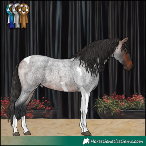 Horse Color:Bay Roan Tobiano 