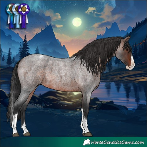 Horse Color:Brown Roan Splash Tobiano 