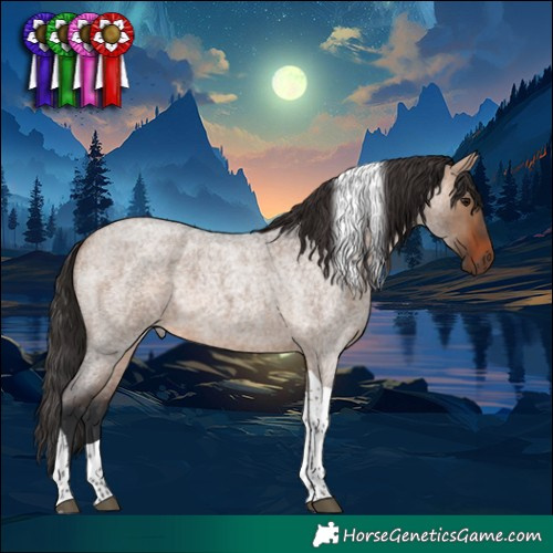 Horse Color:Bay Roan Dun Tobiano 